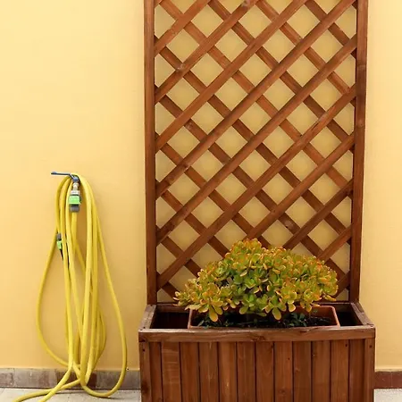 Interno15